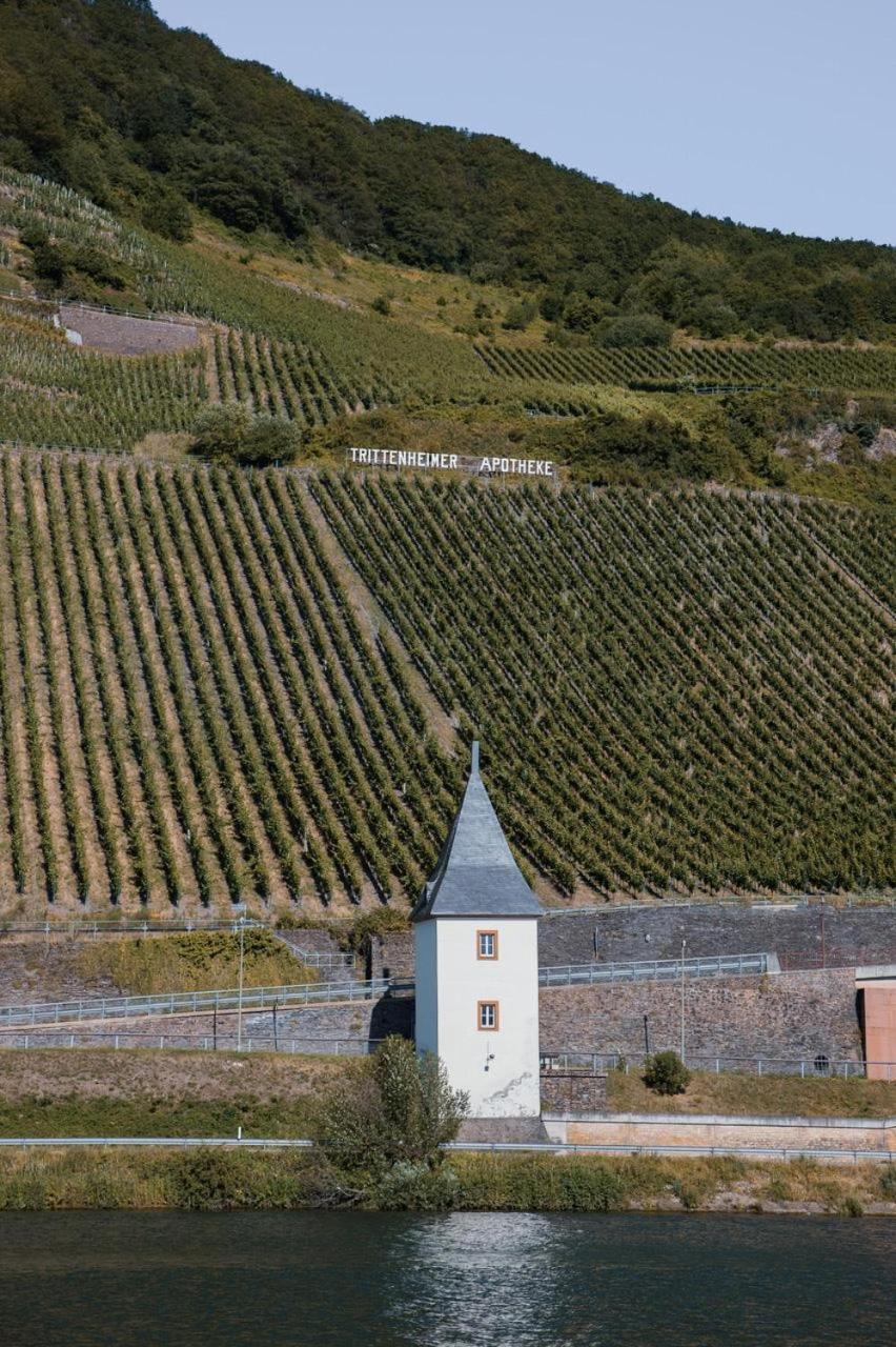 Moselhaus By Cluesserath-wittmann * Trittenheim